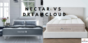 nectar vs dreamcloud