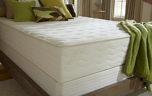 plushbeds latex mattress