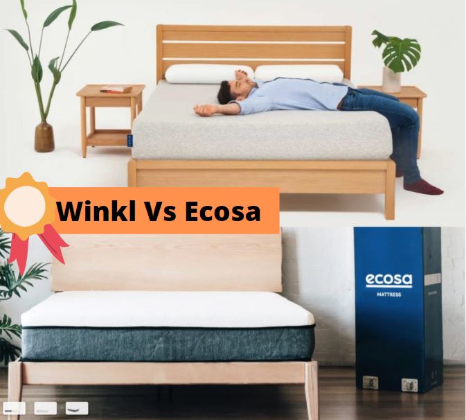 Winkl Vs Ecosa - Cover Image 2021