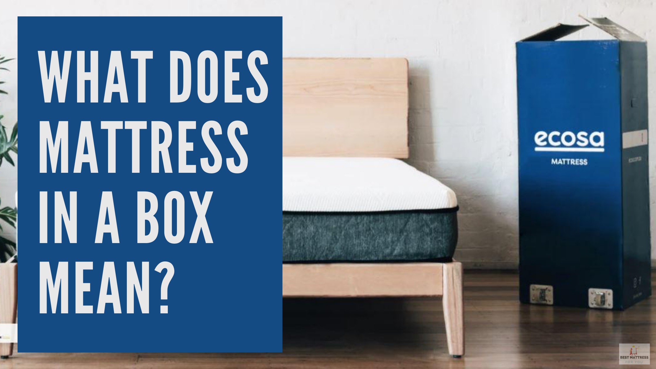 What Does Mattress In A Box Mean - Cover Image