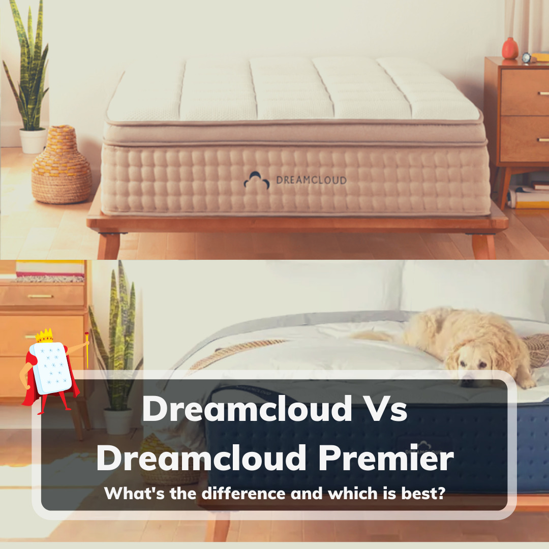 DreamCloud Vs DreamCloud Premier: Which Is Best?