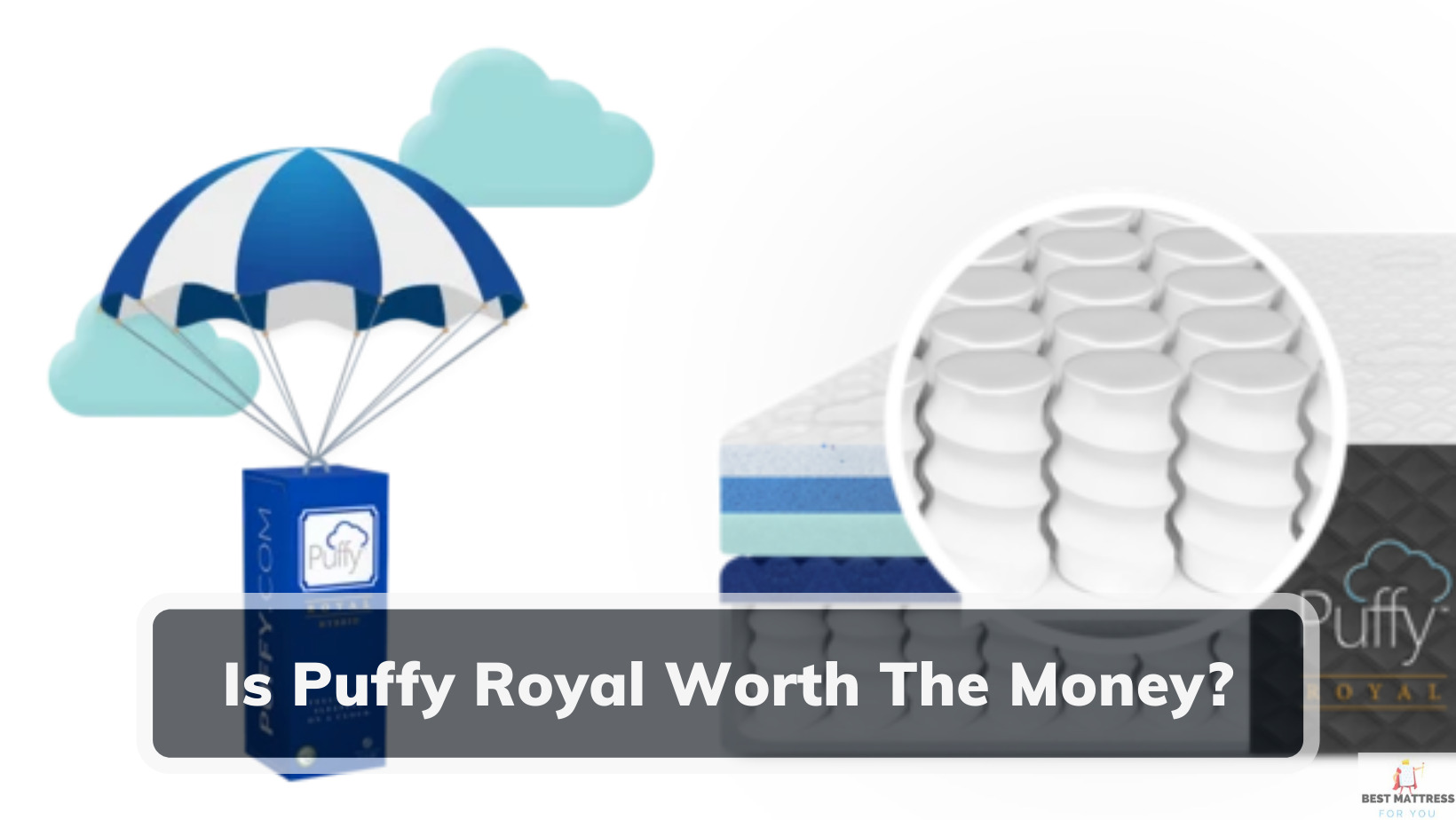 Is Puffy Royal Worth The Money?- Cover Image