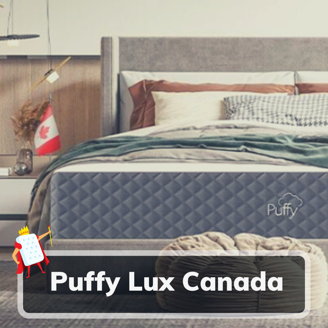 Puffy Lux Canada - Feature Image