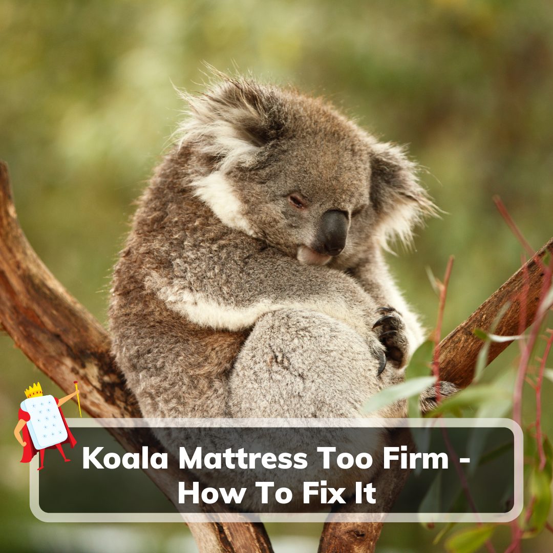 Koala Mattress Too Firm- Feature Image